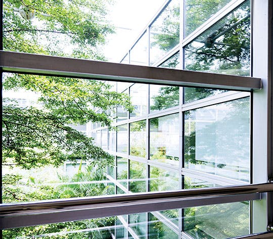Green Cleaning Services of Office Windows